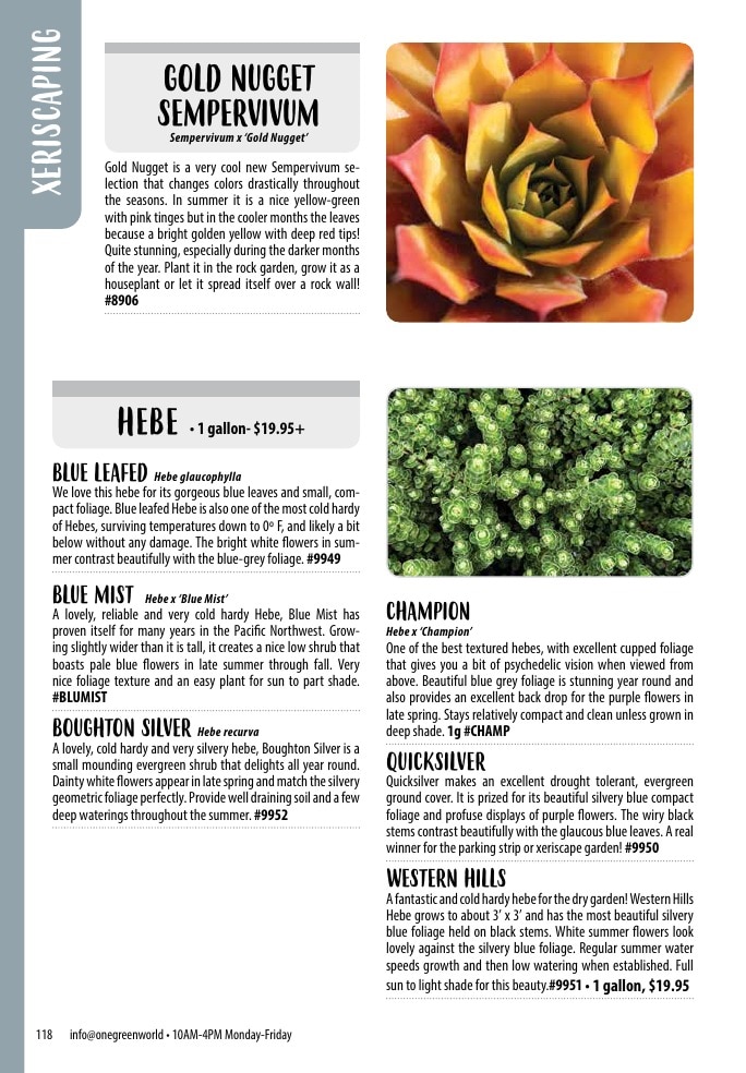 One Green World weekly ad page 120