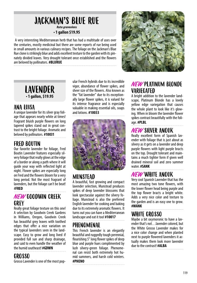 One Green World weekly ad page 121