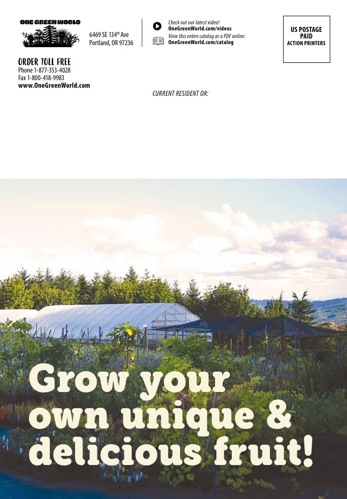 One Green World weekly ad page 148