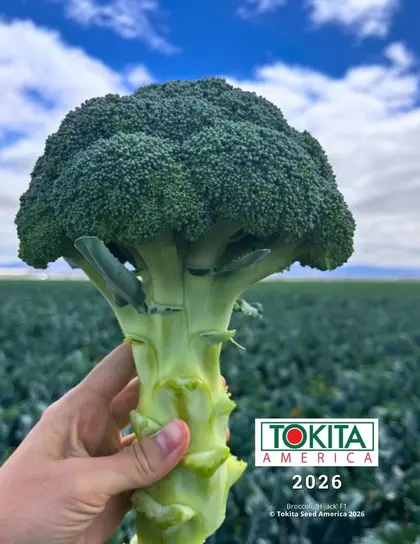 Tokita Seed America Seed Catalog Weekly Ad